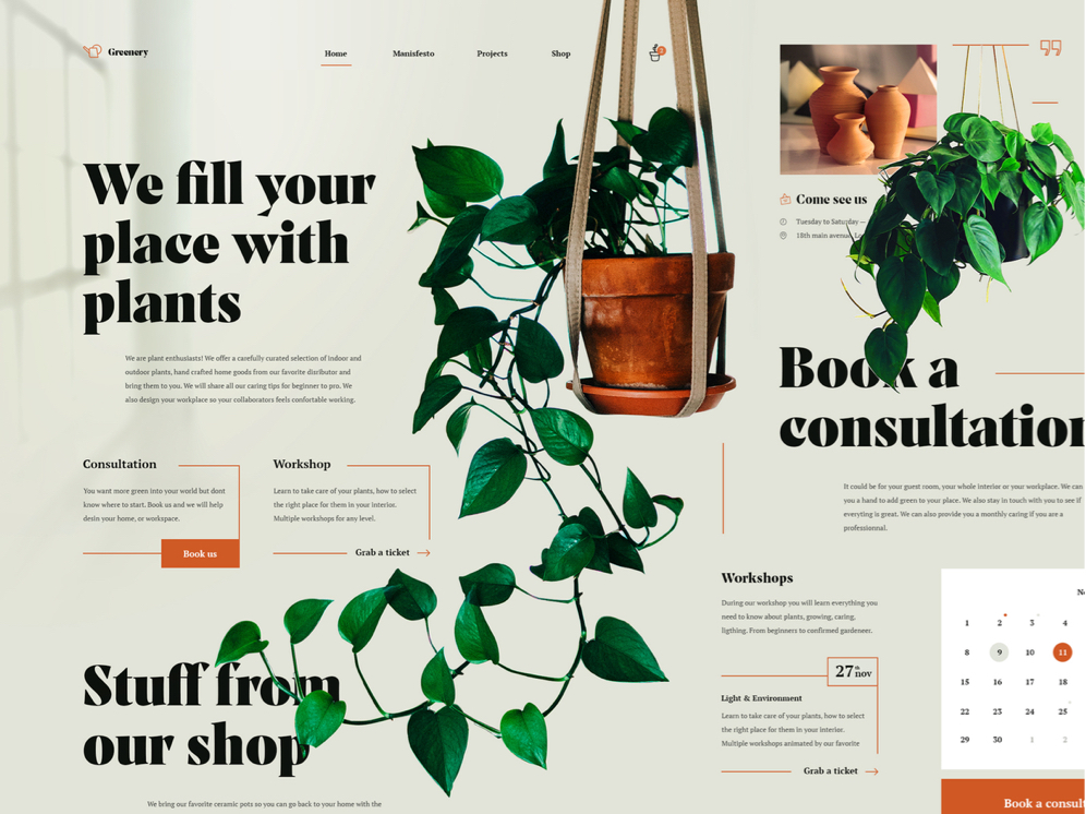 dribbble shot plant